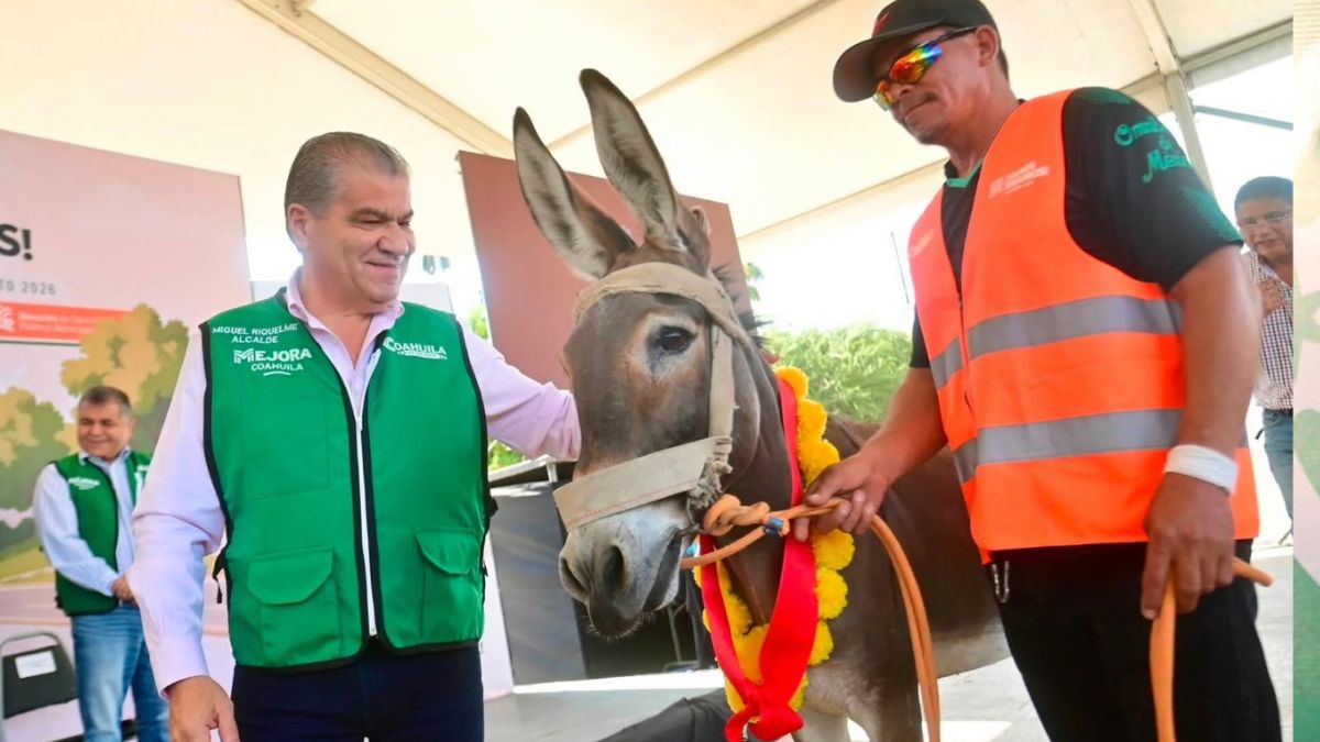 Los beneficiarios reciben capacitación vial y licencia de conducir, mientras asociaciones animalistas acompañan la adopción de los equinos jubilados.