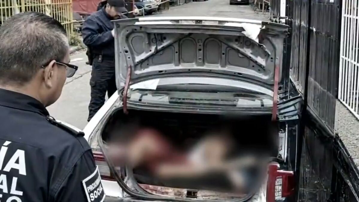Hallan cuerpos en cajuela de auto y restos humanos abandonados en Ecatepec. TD Nocturno CdMx, 08 de octubre 2026