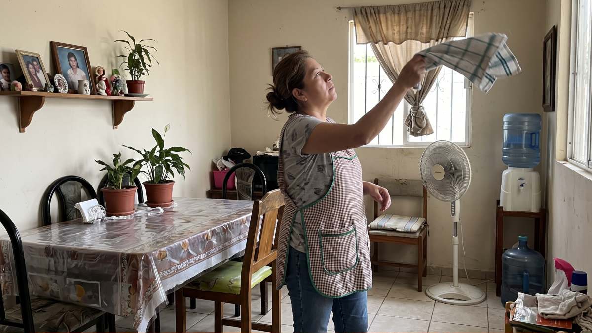 Los mosquitos no toleran los aromas de algunas plantas