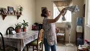 Los mosquitos no toleran los aromas de algunas plantas