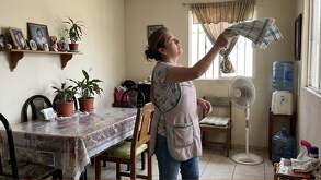 Los mosquitos no toleran los aromas de algunas plantas
