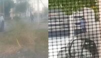 Múltiples colonos aseguraron enfáticamente que el individuo que aparece en las grabaciones no es ningún delincuente.