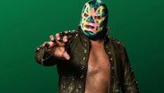 Promotora de Lucha Libre fijó su postura tras la muerte de un réferi en Hidalgo.