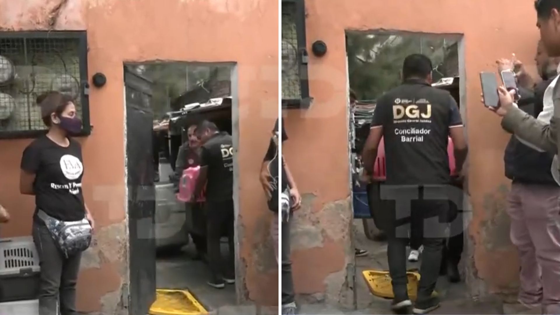 Rescatan perros hacinados en Iztapalapa; continúa operativo para salvar a gatos