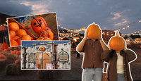 Estas son las actividades y precios del festival Pumpkin Dash
