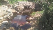 Los daños se han reflejado en áreas como las cascadas de Huaxtla. | Carlos Sedano