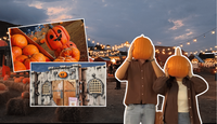 Estas son las actividades y precios del festival Pumpkin Dash