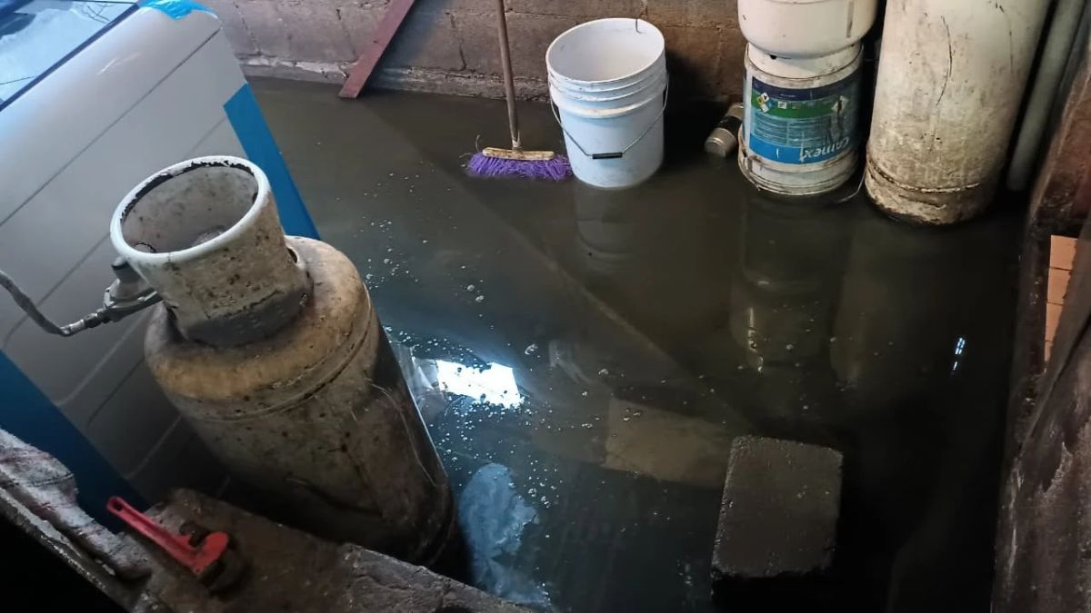 Desde el resumidero de la cocina, la regadera e incluso desde el sanitario, el agua se ha abierto.