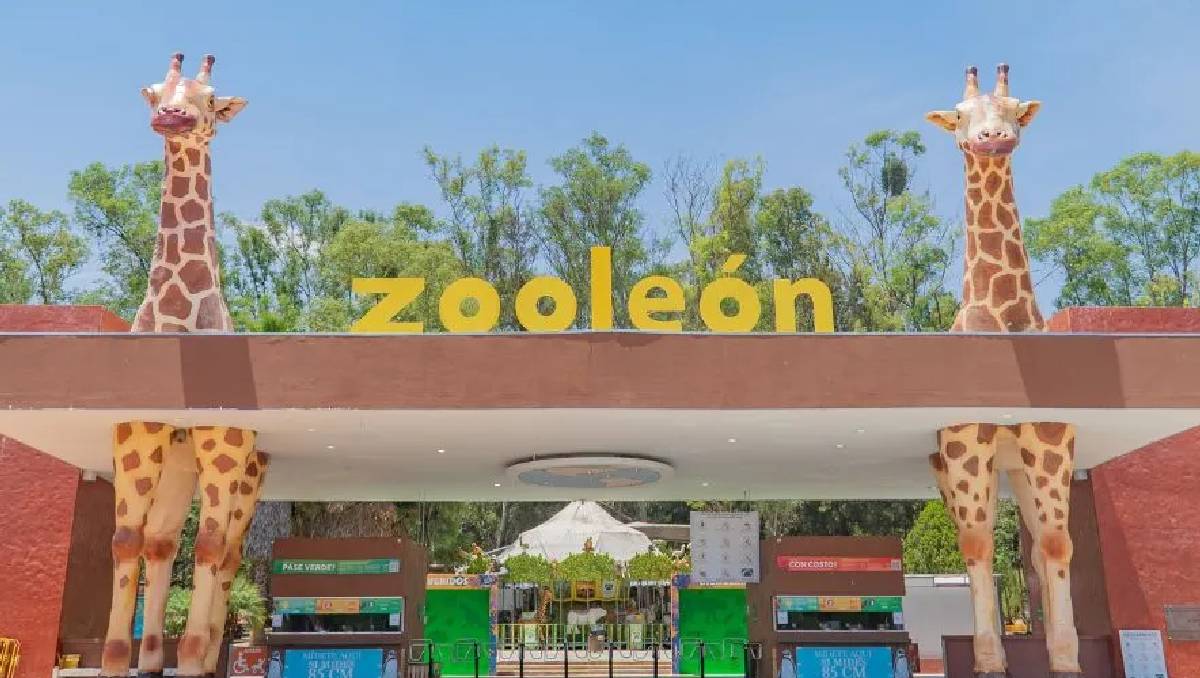 En el primer semestre de 2026 el Zoológico de León reportó 37 bajas de diversas especies
