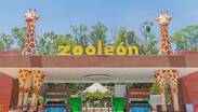 En el primer semestre de 2026 el Zoológico de León reportó 37 bajas de diversas especies