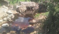 Los daños se han reflejado en áreas como las cascadas de Huaxtla. | Carlos Sedano