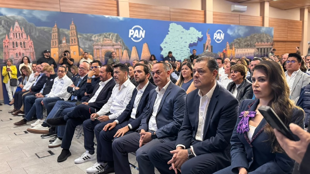 La presidenta estatal del PAN anunció que los nueve defensores comenzarán a desarrollar su agenda durante octubre.