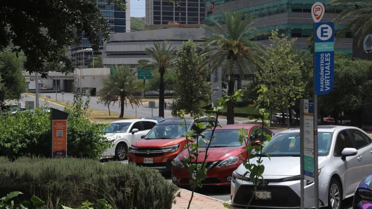Se busca separar el usuario que paga impuestos y el predial en San Pedro, del que visita al municipio por trabajo y de consumo