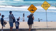 Decenas de playas en Australia fueron cerradas tras recientes ataques de tiburones | Reuters: Jeremy Piper