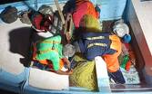 Decomisan artes de pesca prohibidas y especies protegidas en costas de Nayarit| Conapesca