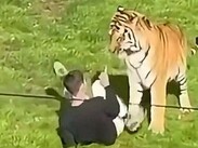 El ataque al interior del zoológico quedó captado en videos. |