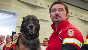 "Rex"y el voluntario Daniel Hernández conformaron el binomio de rescate de la Cruz Roja Delegación Ciudad de Puebla | Cruz Roja Mexicana