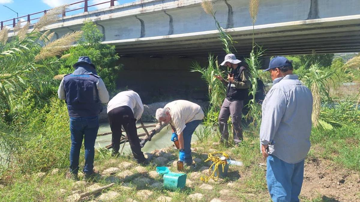 Personal técnico especializado recorrió el cauce para recolectar el material biológico.