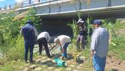 Personal técnico especializado recorrió el cauce para recolectar el material biológico.