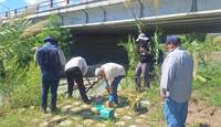 Personal técnico especializado recorrió el cauce para recolectar el material biológico.