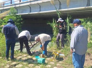 Personal técnico especializado recorrió el cauce para recolectar el material biológico.