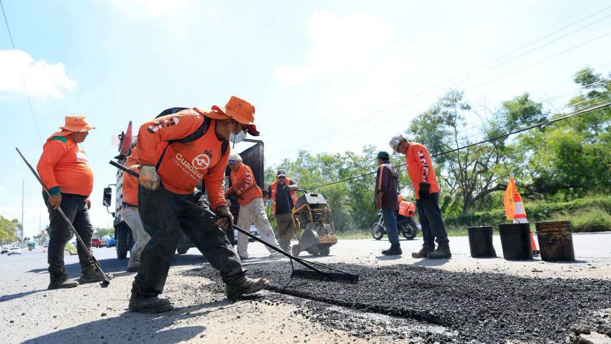 El presidente municipal concluyó que actualmente los seis terrenos están abandonados y en desuso.