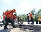 El presidente municipal concluyó que actualmente los seis terrenos están abandonados y en desuso.