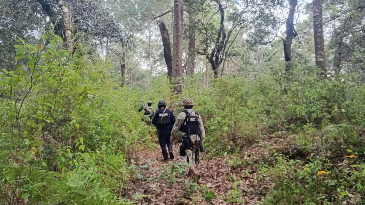 Refuerzan búsqueda de 7 campesinos desaparecidos en Ajuchitlán, Guerrero. | FGE Guerrero