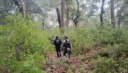 Refuerzan búsqueda de 7 campesinos desaparecidos en Ajuchitlán, Guerrero. | FGE Guerrero