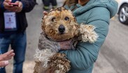 Resguardan a 11 animales tras deflagración en gasera de Coacalco.