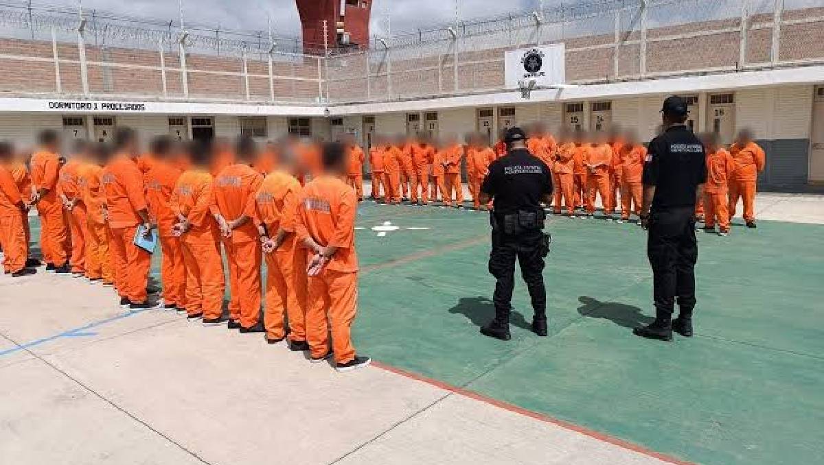 El sistema de Centros Estatales de Prevención y Reinserción Social (CERESO / CEPRERESO) en Guanajuato está conformado por 11 centros penitenciarios
