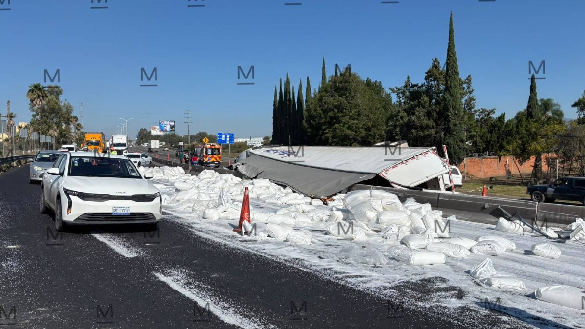 El vehículo de carga circulaba sobre la carretera federal 45 cuando sufrió una volcadura.