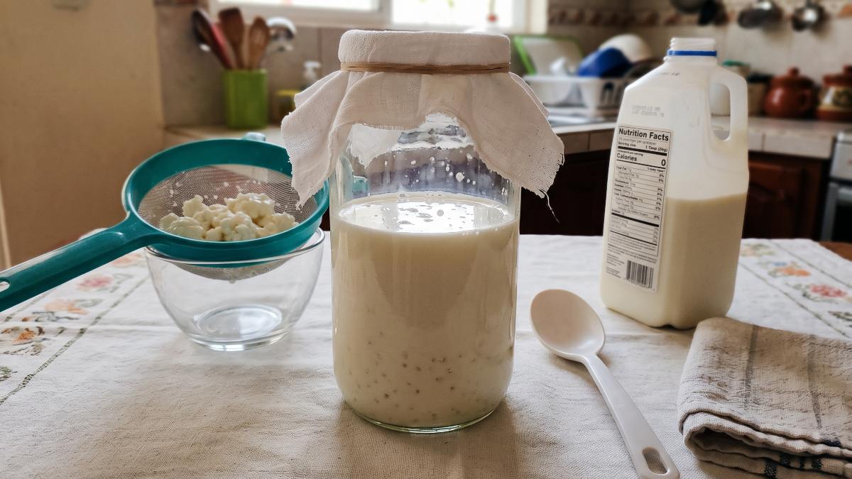 El kéfir se puede preparar fácilmente en casa