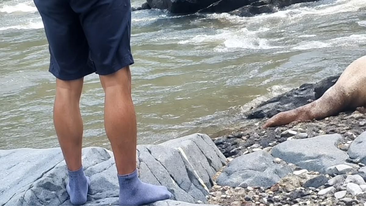 Estudiante muere ahogado en Arteaga, Michoacán.