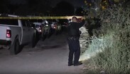 El hallazgo tuvo lugar en una finca situada sobre la avenida López Mateos, en su cruce con Privada Limón