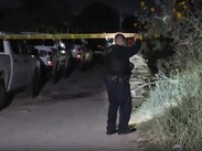 El hallazgo tuvo lugar en una finca situada sobre la avenida López Mateos, en su cruce con Privada Limón