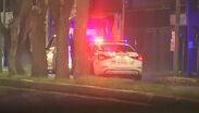 Vecinos de la colonia Tierra Nueva reportaron detonaciones de arma de fuego y hallazgo de una persona muerta.