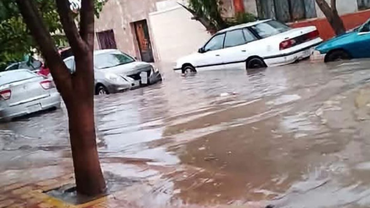 La alcaldesa hizo un llamado a la población para mantener la calma y tener paciencia ante la cantidad de reportes recibidos.