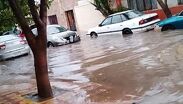 La alcaldesa hizo un llamado a la población para mantener la calma y tener paciencia ante la cantidad de reportes recibidos.