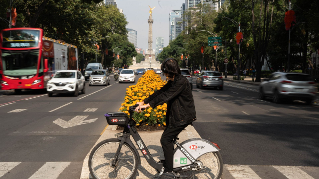 Disfruta de las celebraciones del Día de Muertos en la Ciudad de México.