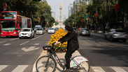 Disfruta de las celebraciones del Día de Muertos en la Ciudad de México.