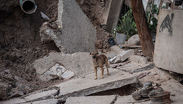 Mantente alerta ante los reportes sísmicos del Servicio Sismológico Nacional.