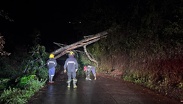 Lluvias provocan deslaves y accidentes en Sierra Norte de Puebla