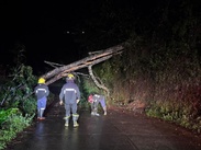 Lluvias provocan deslaves y accidentes en Sierra Norte de Puebla