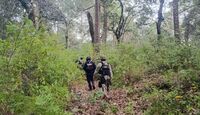 Refuerzan búsqueda de 7 campesinos desaparecidos en Ajuchitlán, Guerrero. | FGE Guerrero