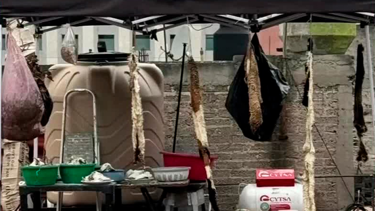 Denuncian presunto maltrato animal durante rituales en el Peñón de los Baños