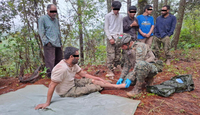 Los habitantes del ejido del Balcón fueron atendidos por el personal médico de las fuerzas de rescate.
