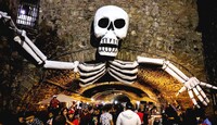 El programa contempla desfiles de calaveras y catrinas, altares monumentales, callejoneadas temáticas, entre otros.