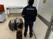 El perro 'Cinta' detectó el dinero en efectivo oculto en dos maletas | Defensa
