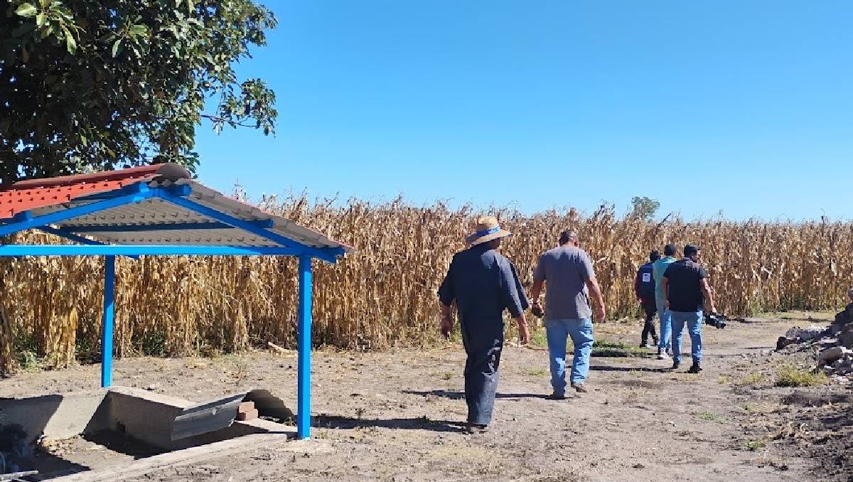 Productores del municipio de Purísima del Rincón se muestran preocupados por las obras del tren de pasajeros